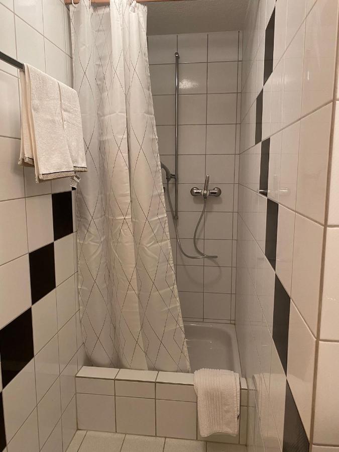 Private Studio Apartment In Bremgarten Ngoại thất bức ảnh